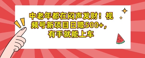 中老年都在闷声发财，视频号新项目日入多张，有手就能上车-资源网