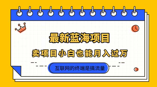 （14289期）2025年最新蓝海项目，卖项目小白也能月入过万-资源网