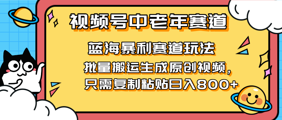 （14314期）2025视频号中老年短视频蓝海暴利风口！复制粘贴搬运视频单日赚800+，无…-资源网