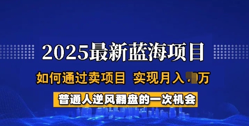 2025蓝海项目，普通人如何通过卖项目，实现月入过W，全过程【揭秘】-资源网
