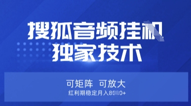 【搜狐音频挂G】独家技术，可矩阵可放大，红利期稳定月入8k【揭秘】-资源网