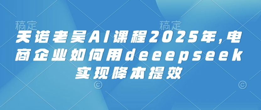 天诺老吴AI课程2025年，电商企业如何用deeepseek实现降本提效-资源网