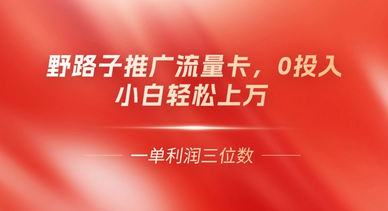0门槛推广流量卡，一单收益上百，0投入，小白月入过W-资源网
