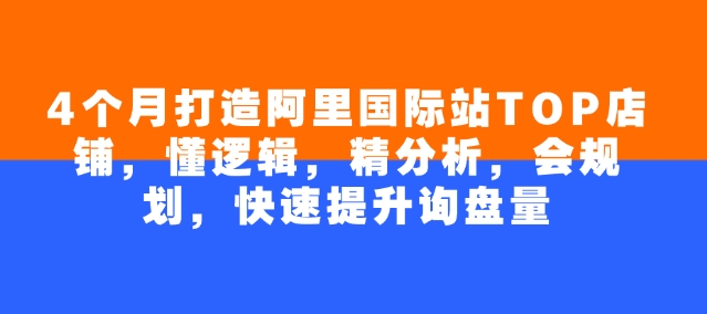 4个月打造阿里国际站TOP店铺，懂逻辑，精分析，会规划，快速提升询盘量-资源网