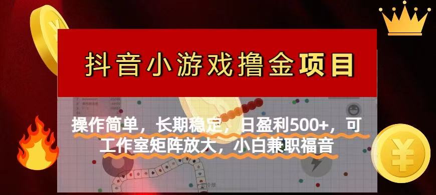 （14290期）【抖音小游戏发行人计划项目】操作简单，长期稳定，日盈利500+，可工作…-资源网