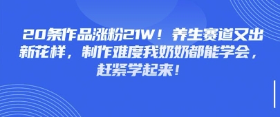 20条作品涨粉21W！养生赛道又出新花样，制作难度我奶奶都能学会，赶紧学起来-资源网