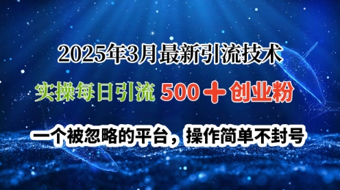2025年3月最新引流技术，实操每日引流500+创业粉，一个被忽略的平台，操作简单不封号-资源网
