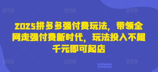 2025拼多多强付费玩法，带领全网走强付费新时代，玩法投入不超千元即可起店-资源网