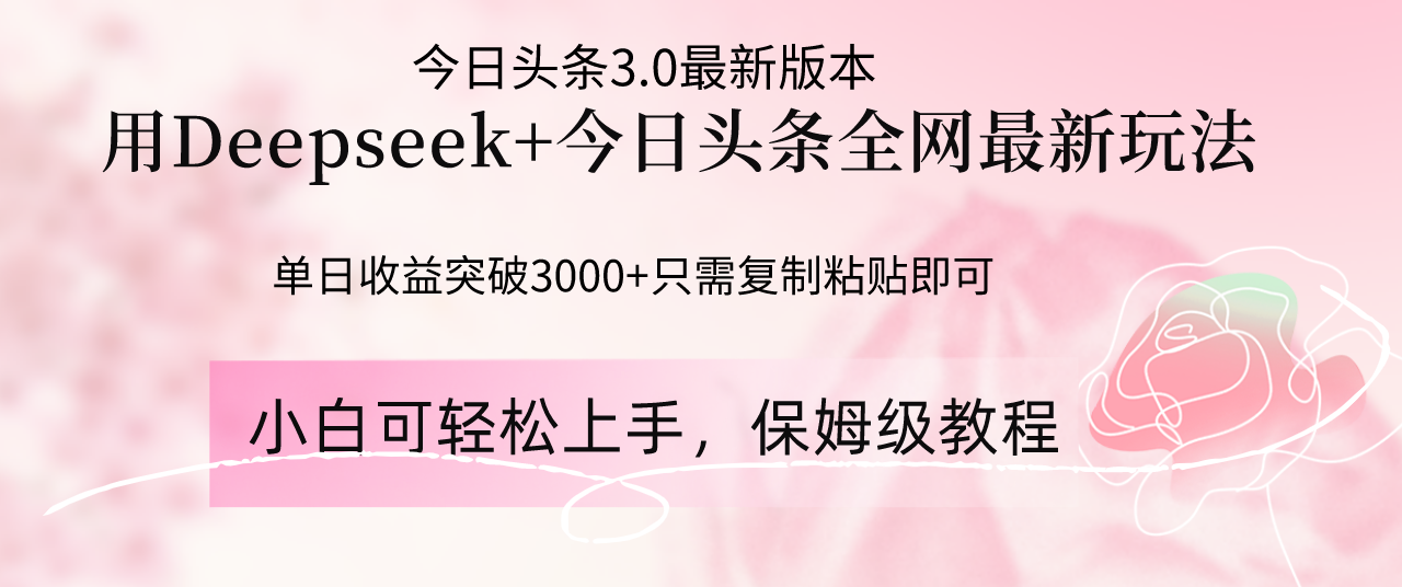 （14452期）Deepseek结合今日头条全网最新玩法，单日收益突破3000+，只需要简单的…-资源网