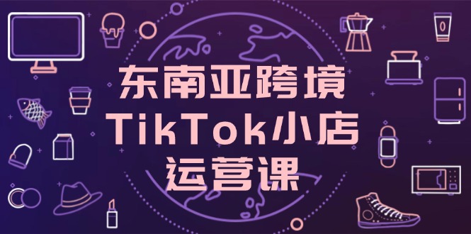 （14390期）东南亚跨境TikTok小店运营课，掌握店铺设置与流量转化核心技巧-资源网