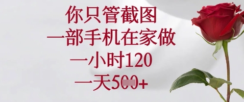 你只管截图，一部手机在家做，苹果安卓都可以，一小时120，一天5张+【揭秘】-资源网