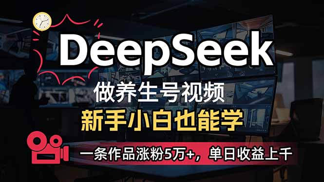 （14270期）小白用DeepSeek做养生号，一条作品涨粉5万+，单日收益上千-资源网