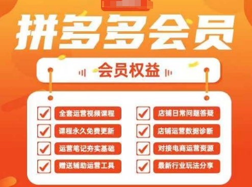 2025拼多多运营实战课，40节全流程教学，覆盖拼多多运营全链路-资源网