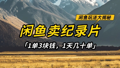闲鱼卖纪录片1单3块钱，1天几十单，项目稳定有潜力-资源网