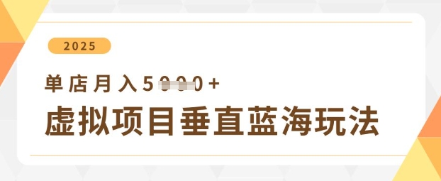 虚拟项目垂直玩法，实现单店月入5k+-资源网