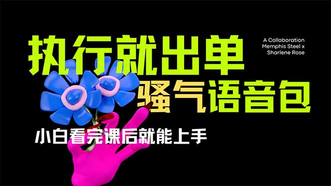 （14170期）爆火全网的开车导航骚气语音包,只要执行就出单，小白看完课程就能实操…-资源网