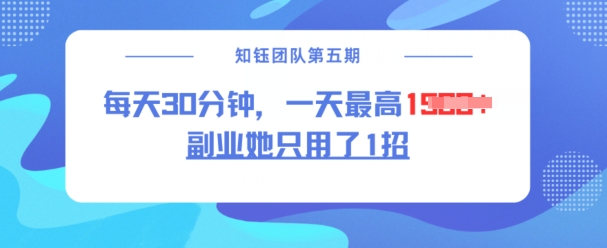 副业她只用了1招，每天30分钟，无脑二创，一天最高1.5k-资源网