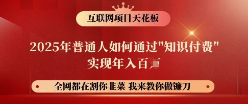互联网项目天花板，2025年普通人如何通过知识付费实现年入百个【揭秘】-资源网