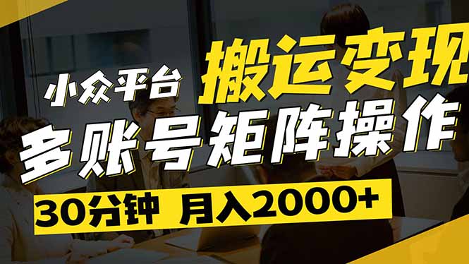 （14288期）得物平台变现新蓝海！无脑复制热门视频，多账号同步运营，每天半小时躺…-资源网