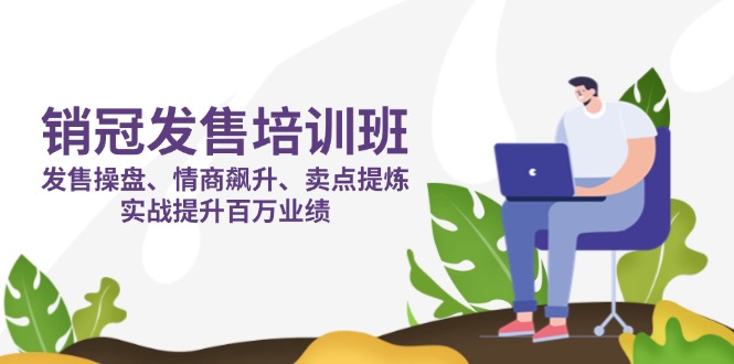 （14203期）销冠 发售培训班：发售 操盘+情商 飙升+卖点 提炼，实战提升百万业绩-资源网