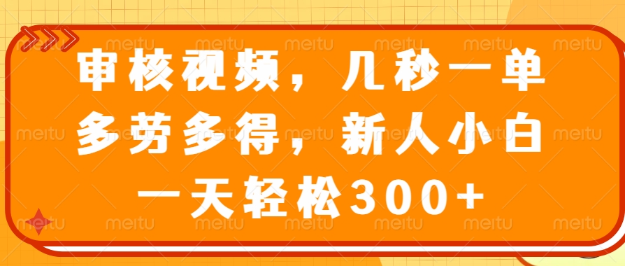 （14294期）审核视频，几秒一单，多劳多得，新人小白一天轻松300+-资源网