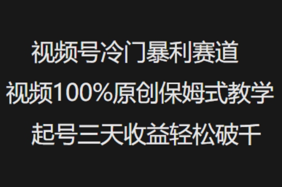 视频号冷门暴利赛道视频100%原创保姆式教学起号三天收益轻松破千-资源网