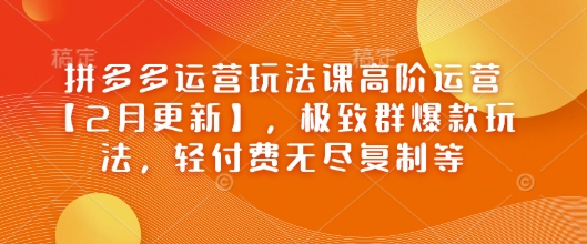 拼多多运营玩法课高阶运营【2月更新】，极致群爆款玩法，轻付费无尽复制等-资源网