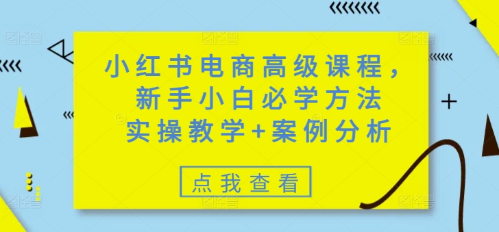 小红书电商高级课程，新手小白必学方法，实操教学+案例分析-资源网