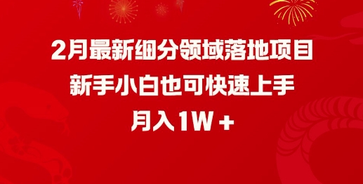 2月最新细分领域落地项目，新手小白也可快速上手，月入1W-资源网