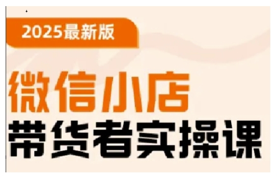 2025最新版微信小店带货者实操课，基础操作到高级运营技巧，快速上手-资源网