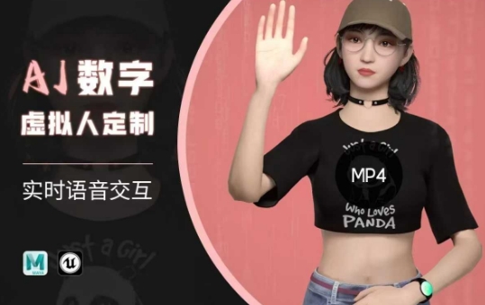 Ai数字人虚拟(智能体)实时语音交互特训营，​自行定制超写实角色AI数字人交互技术-资源网