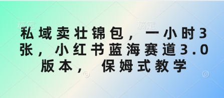 私域卖壮锦包，一小时3张，小红书蓝海赛道3.0版本， 保姆式教学-资源网