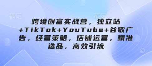 跨境创富实战营，独立站+TikTok+YouTube+谷歌广告，经营策略，店铺运营，精准选品，高效引流-资源网