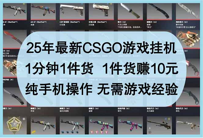 （14439期）25年最新CSGO游戏挂机，1分钟1件货，1件货赚10元 纯手机操作 无需游戏经验-资源网
