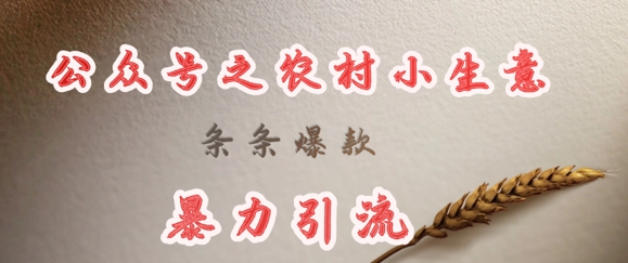 deepseek写农村小项目，条条爆款，暴力引流-资源网