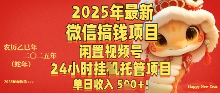 2025年最新微信搞钱项目，闲置视频号年24小时挂G托管项目，单日收入多张-资源网