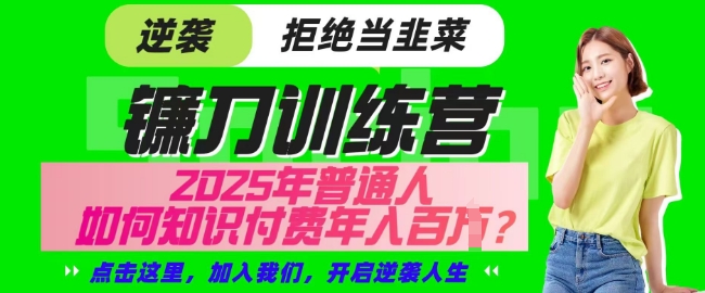 【网创项目终点站-镰刀训练营超级IP合伙人】25年普通人如何通过知识付费实现逆袭【揭秘】-资源网