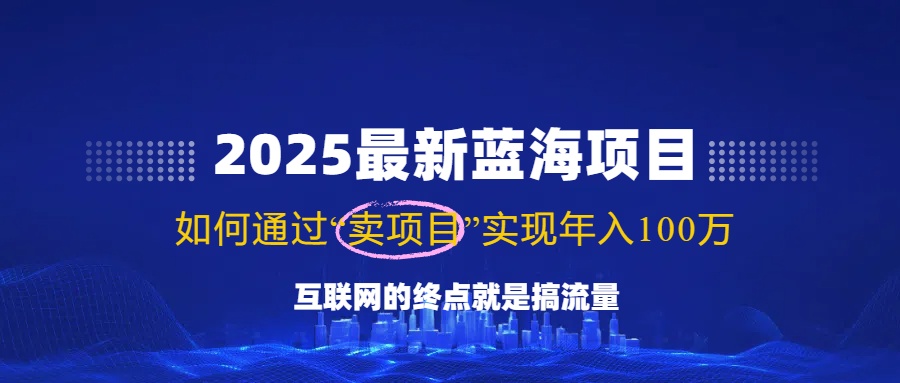 （14305期）2025最新蓝海项目，零门槛轻松复制，月入10万+，新手也能操作！-资源网