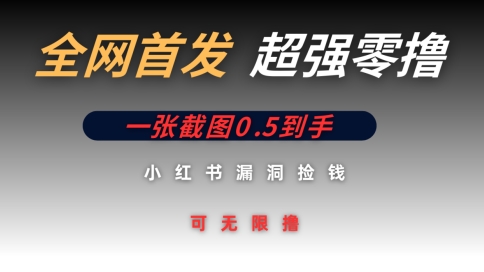 全网首发无限零撸捡钱项目，小红书一张截图0.5元可无限零撸-资源网