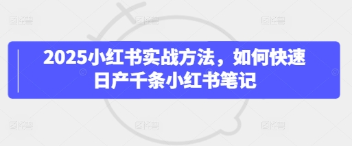 2025小红书实战方法，如何快速日产千条小红书笔记-资源网