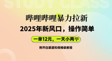 哔哩哔哩暴力拉新：2025年新风口，一单12元，一天数张(附开白渠道和保姆级教程)-资源网