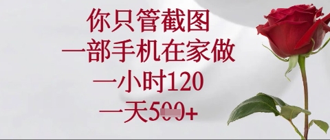 你只管截图，一部手机在家操作，一小时120.一天5张【揭秘】-资源网