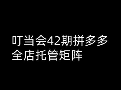 叮当会拼多多打爆班原创高阶技术第42期，拼多多全店托管矩阵-资源网