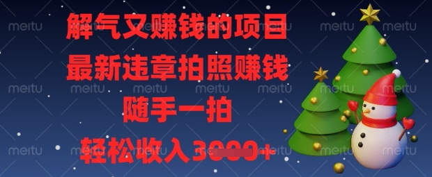 解气又挣钱的项目，最新违章拍照挣钱，随手一拍，轻松收入数张【揭秘】-资源网