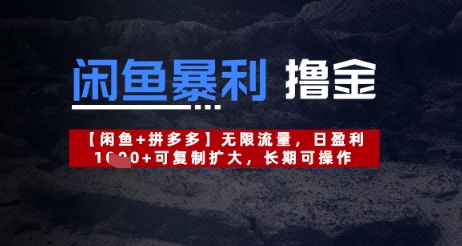 闲鱼暴利撸金无限流量，日盈利几张，可复制扩大，长期可操作-资源网