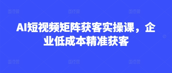 AI短视频矩阵获客实操课，企业低成本精准获客-资源网